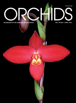 Picture of 2021/04 April ORCHIDS Magazine
