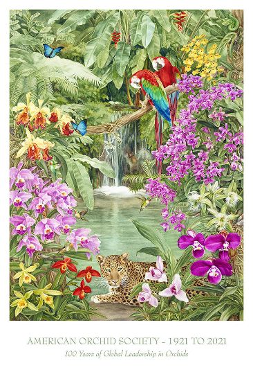 Picture of Centennial Commemorative poster  - Limited edition (Numbered and signed by artist)