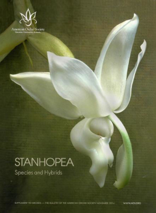 Picture of 2014/11 Stanhopea Species and Hybrids NO SHIP