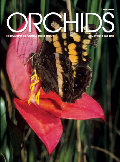 Picture of 2021/05 May ORCHIDS Magazine