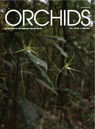 Picture of 2021/06 June ORCHIDS Magazine