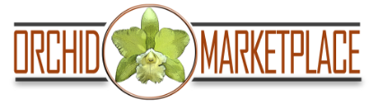 Picture of Marketplace Partner