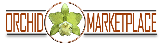 Picture of Marketplace Partner