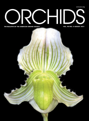 Picture of 2021/08 August ORCHIDS Magazine