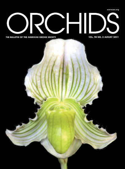 Picture of 2021/08 August ORCHIDS Magazine