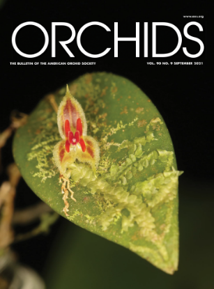 Picture of 2021/09 September ORCHIDS Magazine
