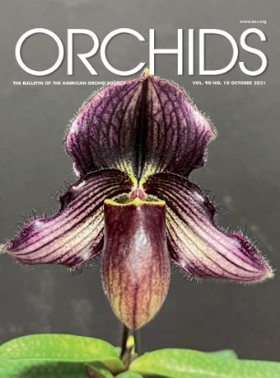 Picture of 2021/10 October ORCHIDS Magazine