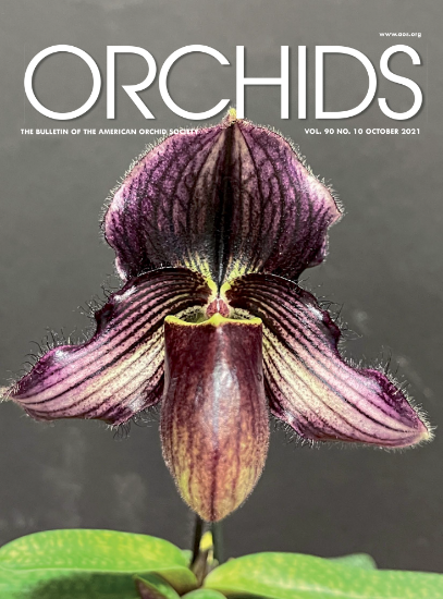 Picture of 2021/10 October ORCHIDS Magazine