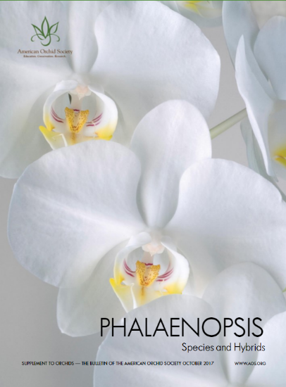 Picture of 2017/10 Phalaenopsis Supplement