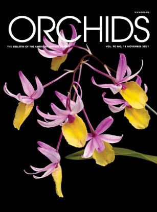 Picture of 2021/11 November ORCHIDS Magazine