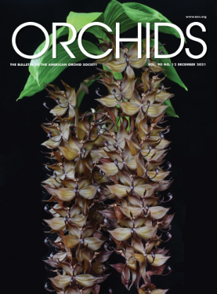 Picture of 2021/12 December ORCHIDS Magazine