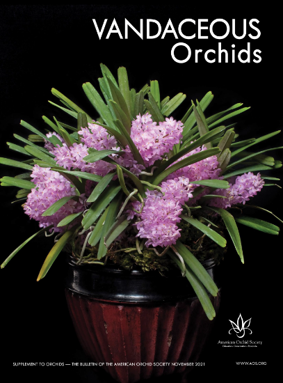 Picture of 2021/11 Vandaceous Supplement