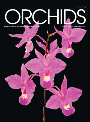 Picture of 2022/02 February ORCHIDS Magazine