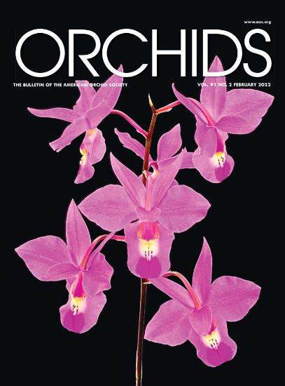 Picture of 2022/02 February ORCHIDS Magazine