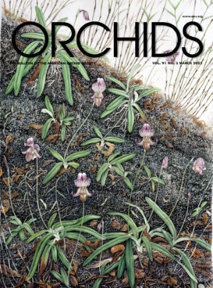 Picture of 2022/03 March ORCHIDS Magazine