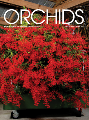 Picture of 2022/04 April ORCHIDS Magazine