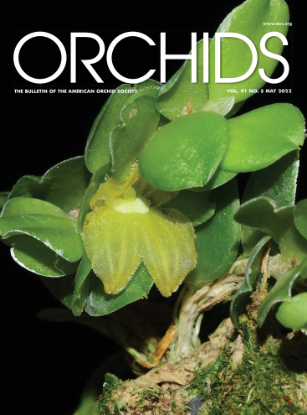 Picture of 2022/05 May ORCHIDS Magazine
