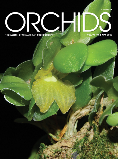Picture of 2022/05 May ORCHIDS Magazine