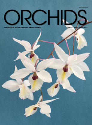 Picture of 2022/06 June ORCHIDS Magazine
