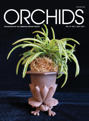Picture of 2022/07 July ORCHIDS Magazine