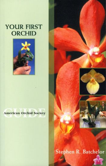 Picture of Your First Orchid - Bulk Ordering2