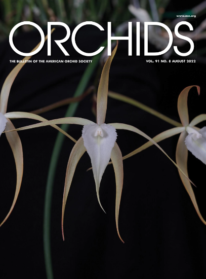 Picture of 2022/08 August ORCHIDS Magazine