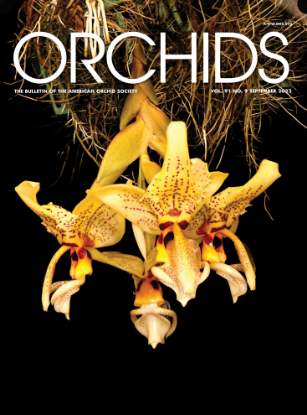 Picture of 2022/09 September ORCHIDS Magazine