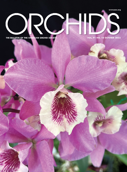 Picture of 2022/10 October ORCHIDS Magazine