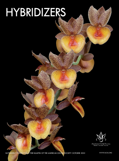 Picture of 2022/10 Hybridizer Supplement