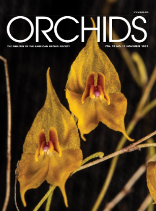 Picture of 2022/11 November ORCHIDS Magazine