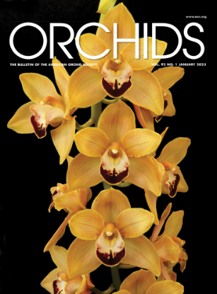 Picture of 2023/01 January ORCHIDS Magazine