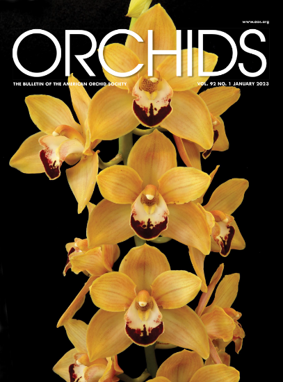 Picture of 2023/01 January ORCHIDS Magazine