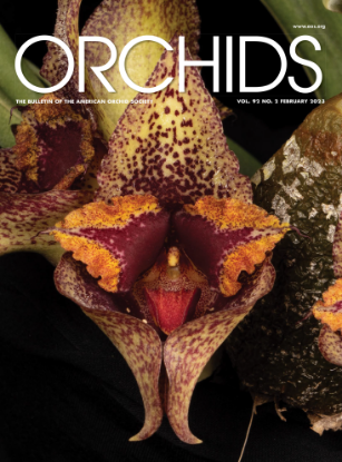 Picture of 2023/02 February ORCHIDS Magazine