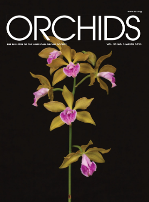 Picture of 2023/03 March ORCHIDS Magazine