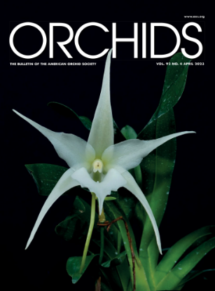 Picture of 2023/04 April ORCHIDS Magazine