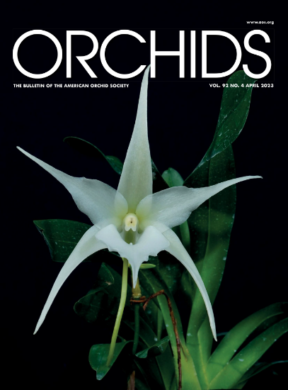 Picture of 2023/04 April ORCHIDS Magazine