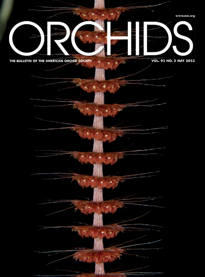 Picture of 2023/05 May ORCHIDS Magazine