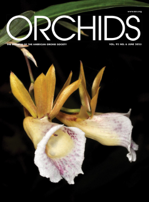 Picture of 2023/06 June ORCHIDS Magazine