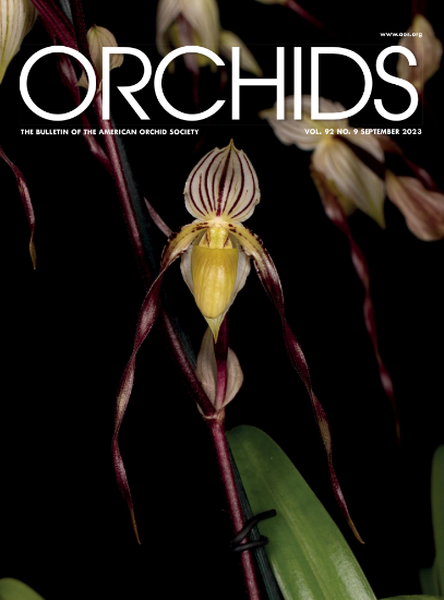Picture of 2023/09 September ORCHIDS Magazine