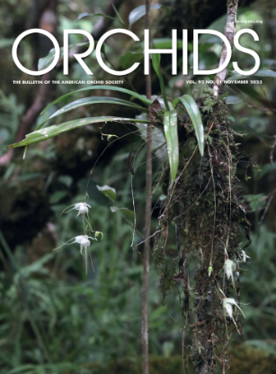 Picture of 2023/11 November ORCHIDS Magazine