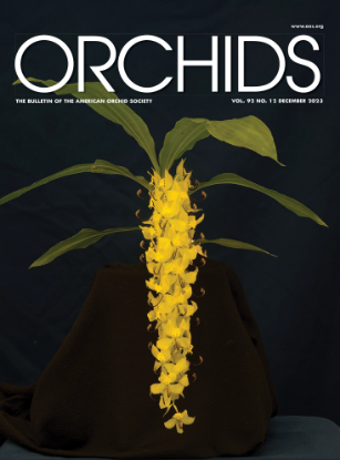 Picture of 2023/12 December ORCHIDS Magazine