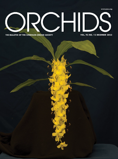 Picture of 2023/12 December ORCHIDS Magazine