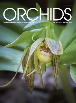 Picture of 2024/01 January ORCHIDS Magazine