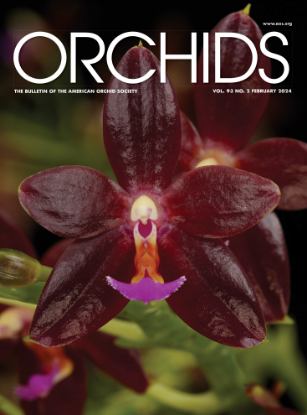 Picture of 2024/02 February ORCHIDS Magazine