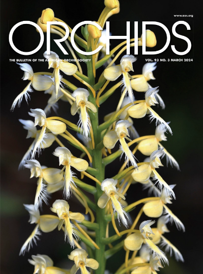 Picture of 2024/03 March ORCHIDS Magazine