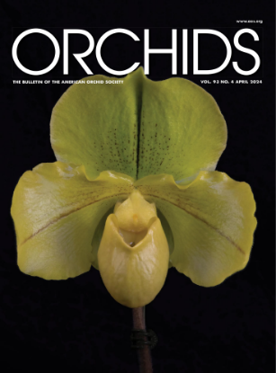 Picture of 2024/04 April ORCHIDS Magazine