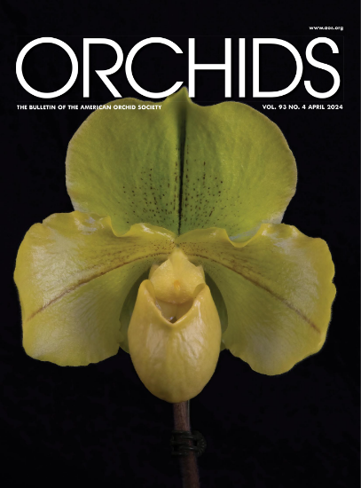 Picture of 2024/04 April ORCHIDS Magazine