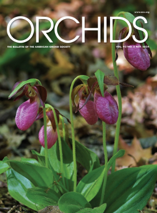 Picture of 2024/05 May ORCHIDS Magazine