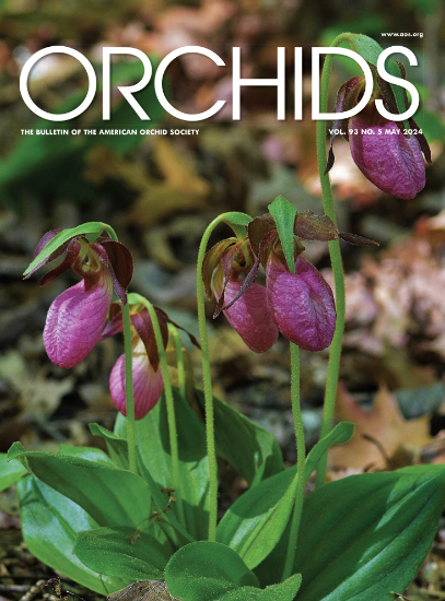 Picture of 2024/05 May ORCHIDS Magazine