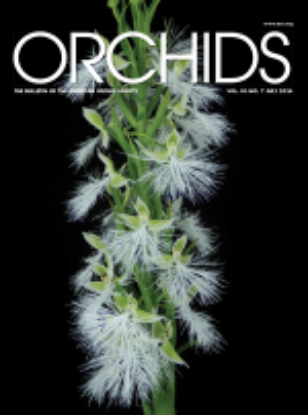 Picture of 2024/07 July ORCHIDS Magazine